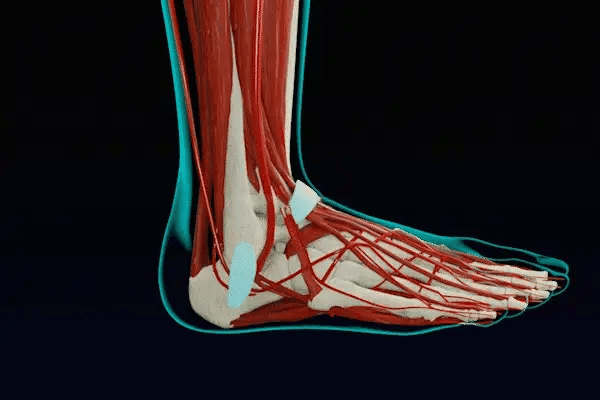 Performance Compression Socks | 20-30mmHg